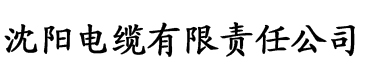 香蕉国产片一级一级一级一级电缆厂logo